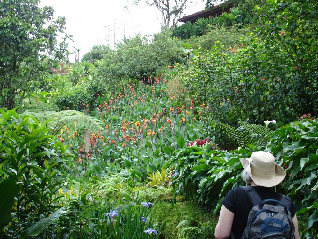 Sheryl with Hummingbirds