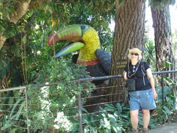 Sheryl Meets the Giant Toucan