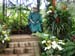 Butterfly Garden