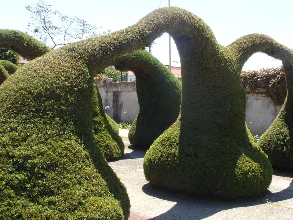 Topiary
