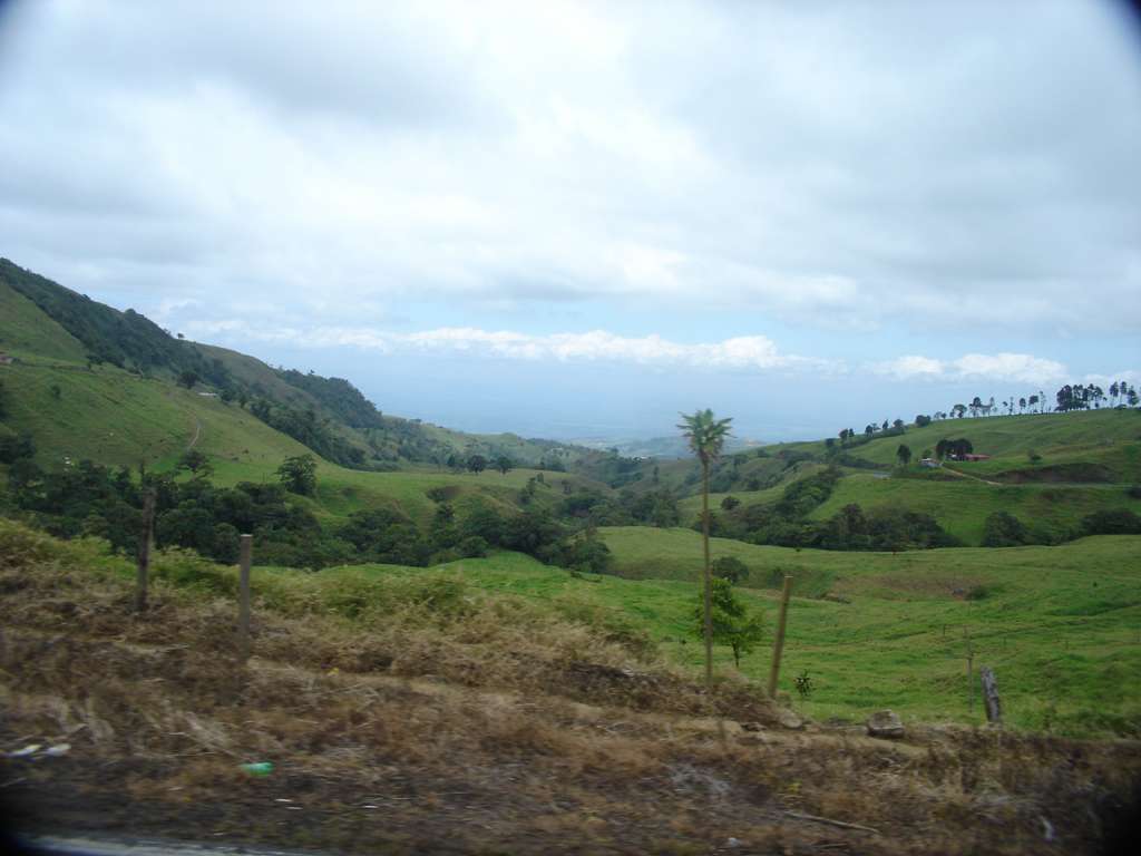 Out the Window