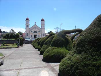 Zarcero