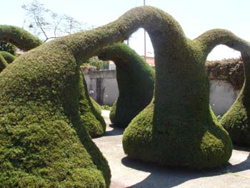 Topiary