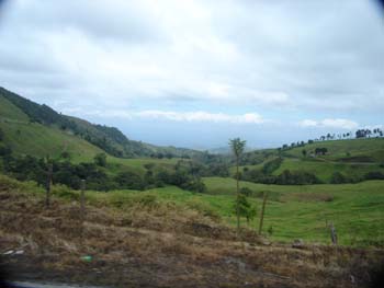 Out the Window