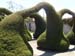 Topiary