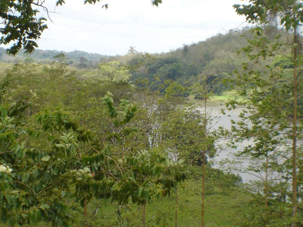 Rio San Carlos