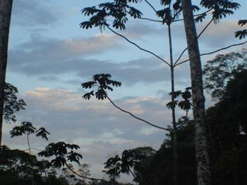 Afternoon Sky