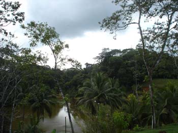 Afternoon Lagoon