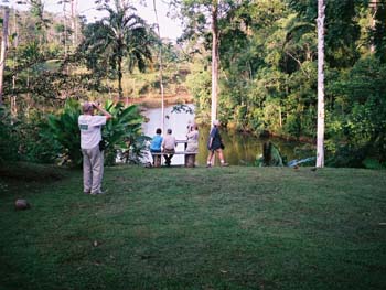 Bird-Watchers