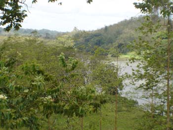 Rio San Carlos