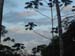 Afternoon Sky