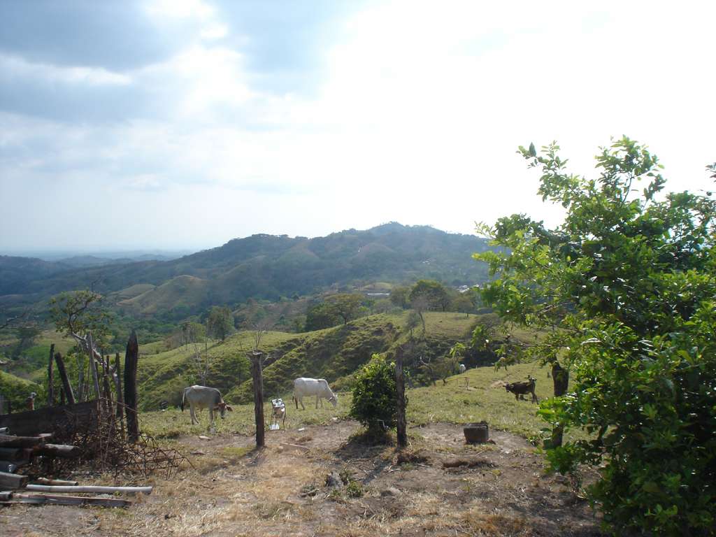Rest Stop