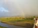 Jungle Rainbow