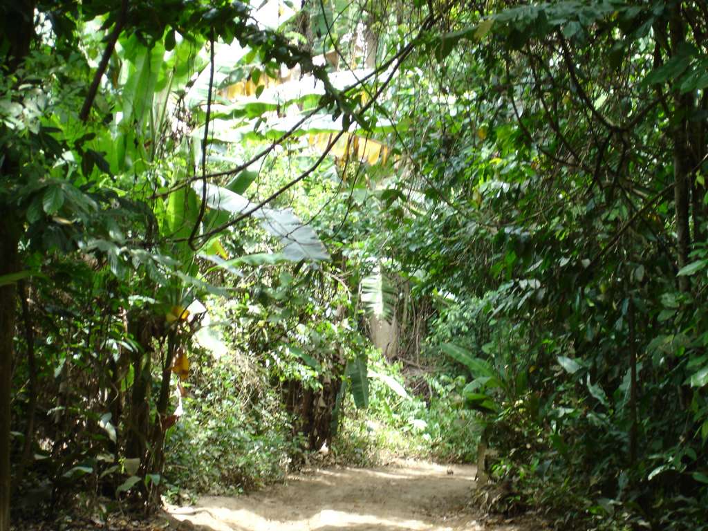 Main Trail