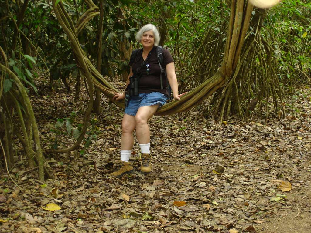 Jungle Swing