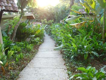 Punta Leona Resort