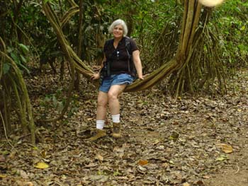 Jungle Swing