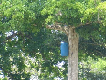 Nest Box