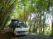 Bamboo Tunnel