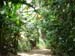 Main Trail