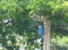 Nest Box