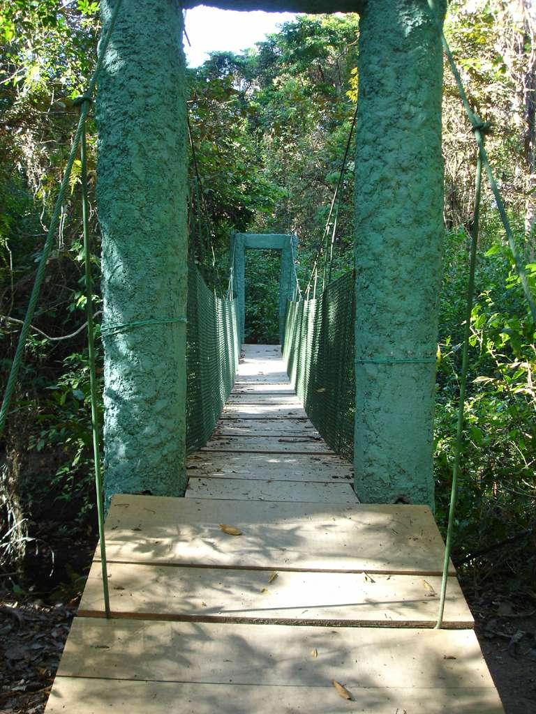 Monkey Farm Bridge