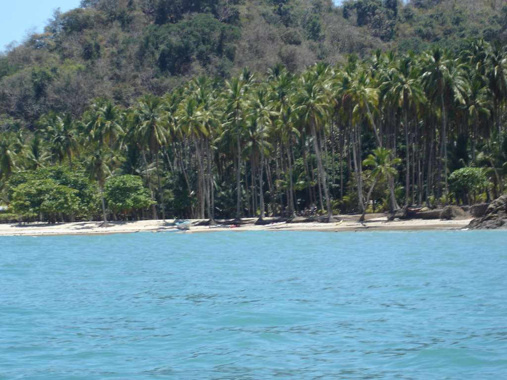 The Beach