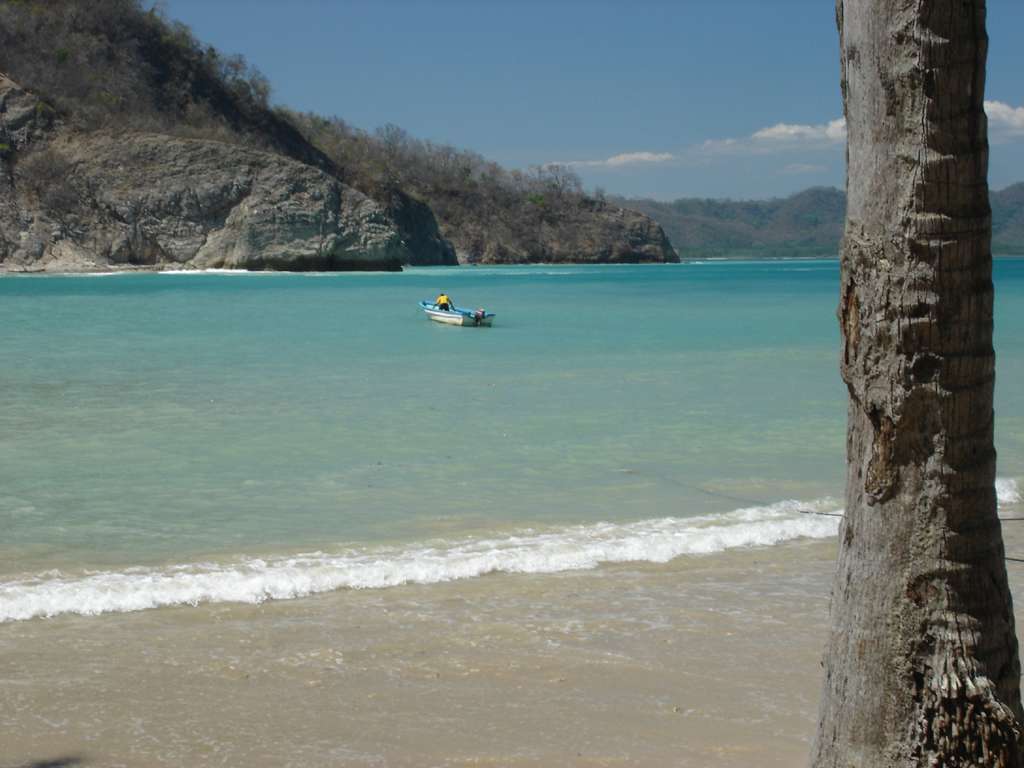 Don't Leave!