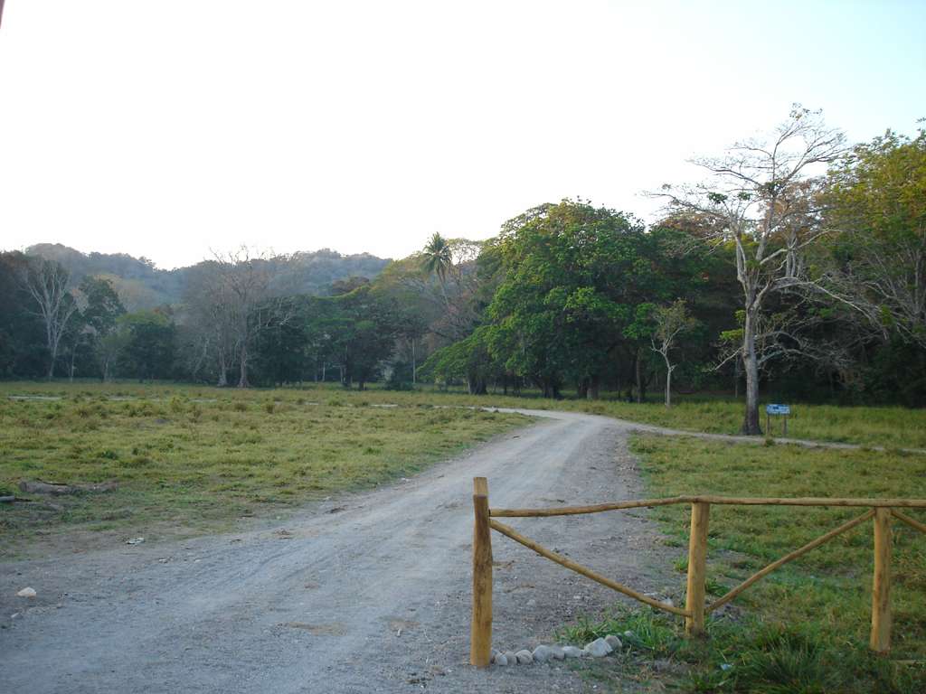 Early Next Morning