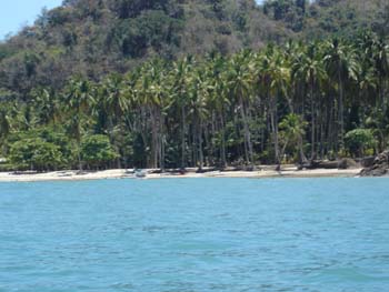 The Beach