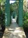 Monkey Farm Bridge