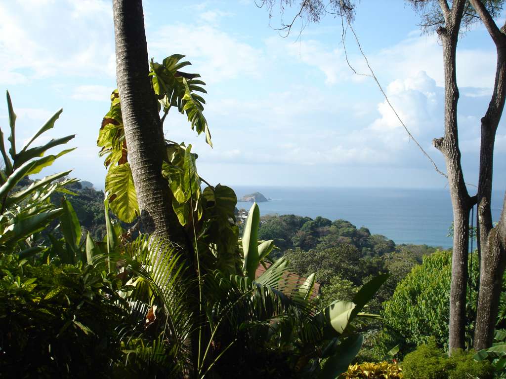 The Pacific