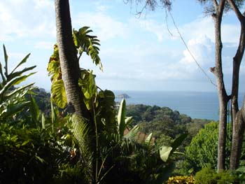 The Pacific