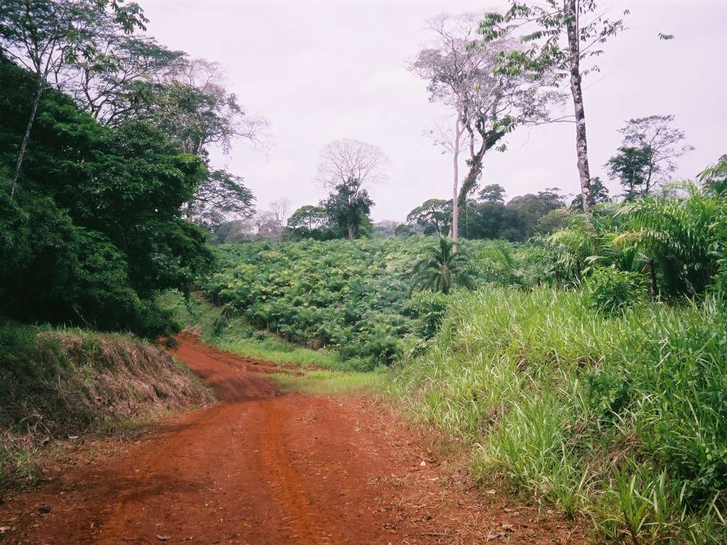 Dirt Road