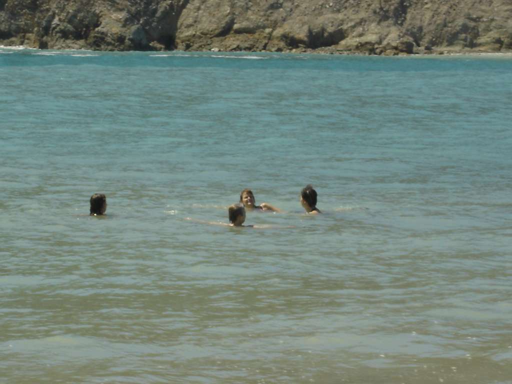 Swimmers