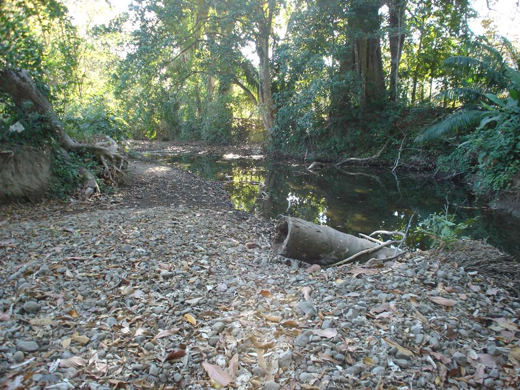 Creekbed