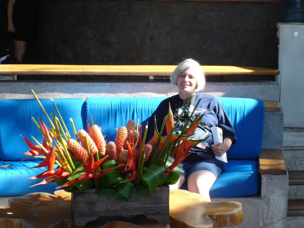 Tropical Flowers
