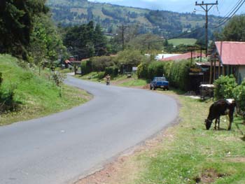 All Downhill