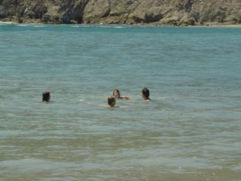 Swimmers