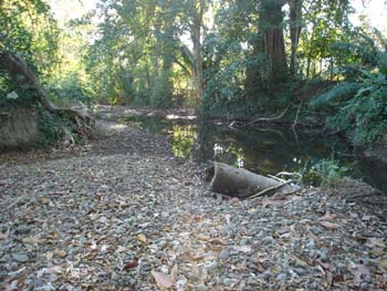 Creekbed