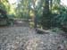 Creekbed